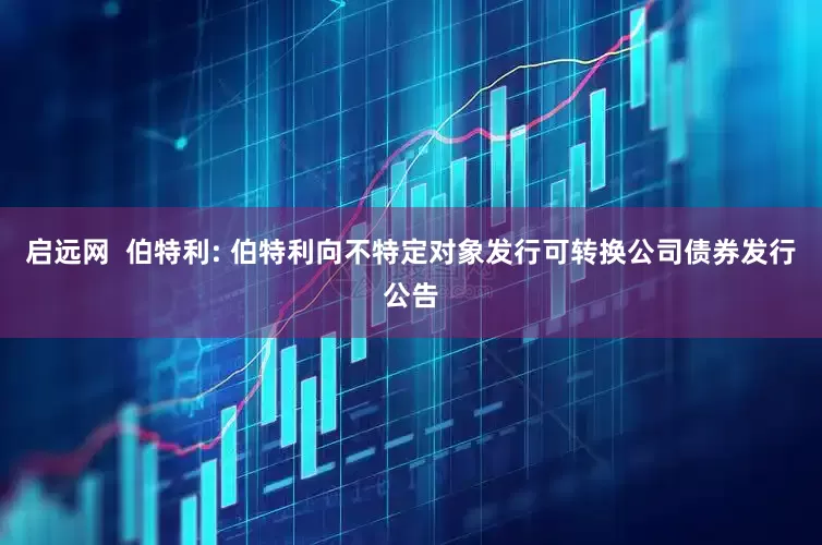 启远网 伯特利: 伯特利向不特定对象发行可转换公司债券发行公告