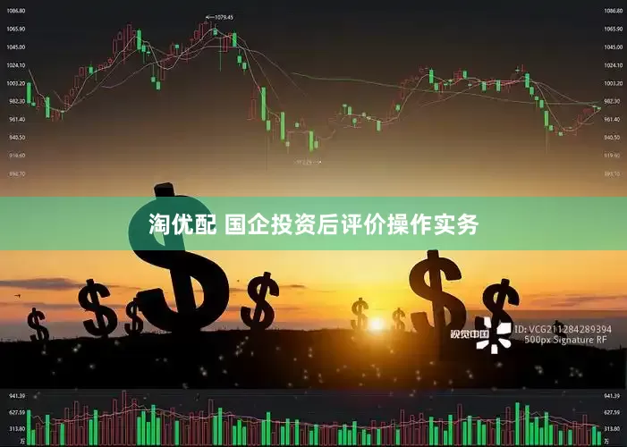 淘优配 国企投资后评价操作实务