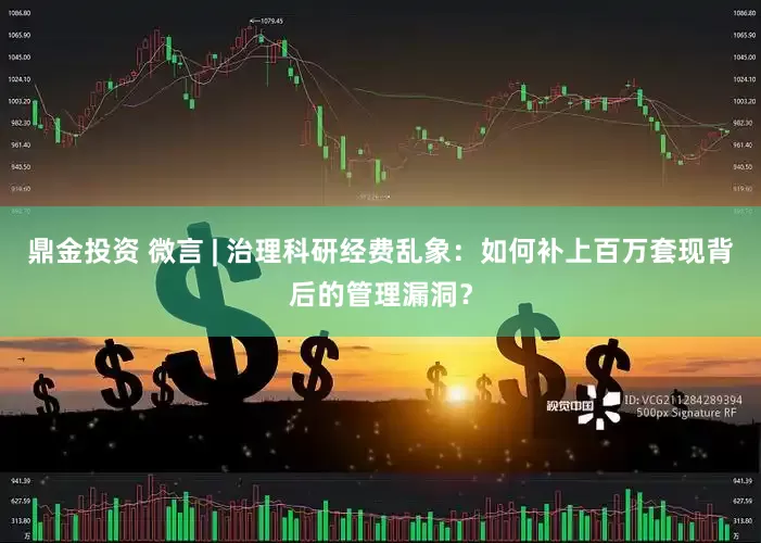 鼎金投资 微言 | 治理科研经费乱象：如何补上百万套现背后的管理漏洞？