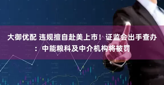 大御优配 违规擅自赴美上市！证监会出手查办：中能粮科及中介机构将被罚