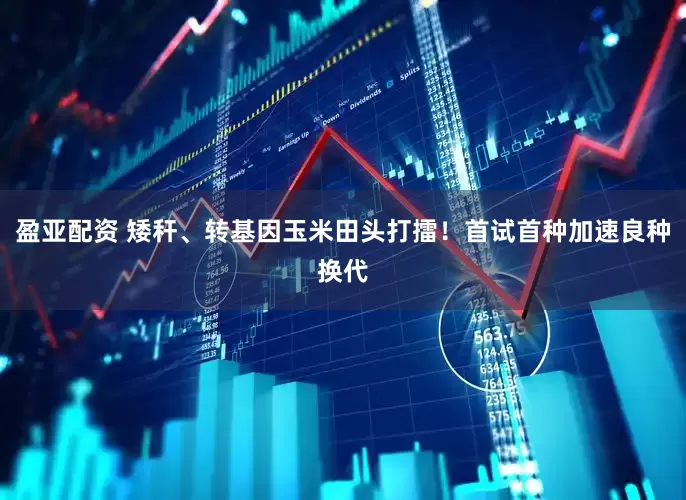 盈亚配资 矮秆、转基因玉米田头打擂！首试首种加速良种换代
